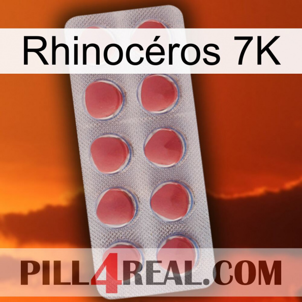 Rhinocéros 7K 18